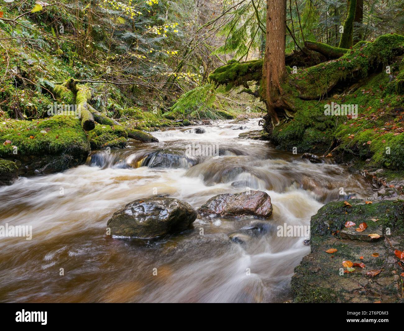 Moniack Burn, Reelig Glen, Highland, Écosse Banque D'Images