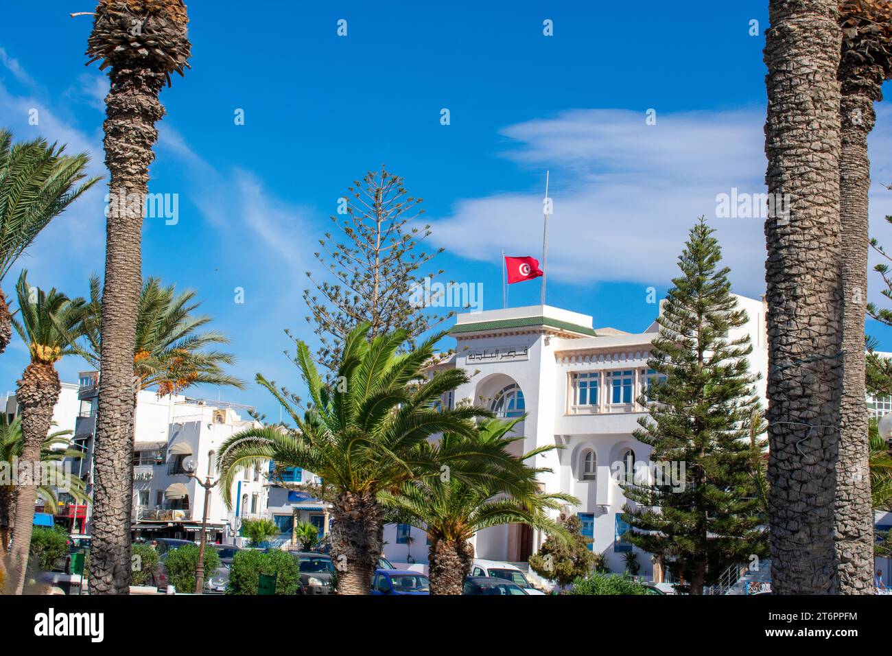 Palmiers et bâtiments dans la ville de Hammamet en Tunisie Banque D'Images