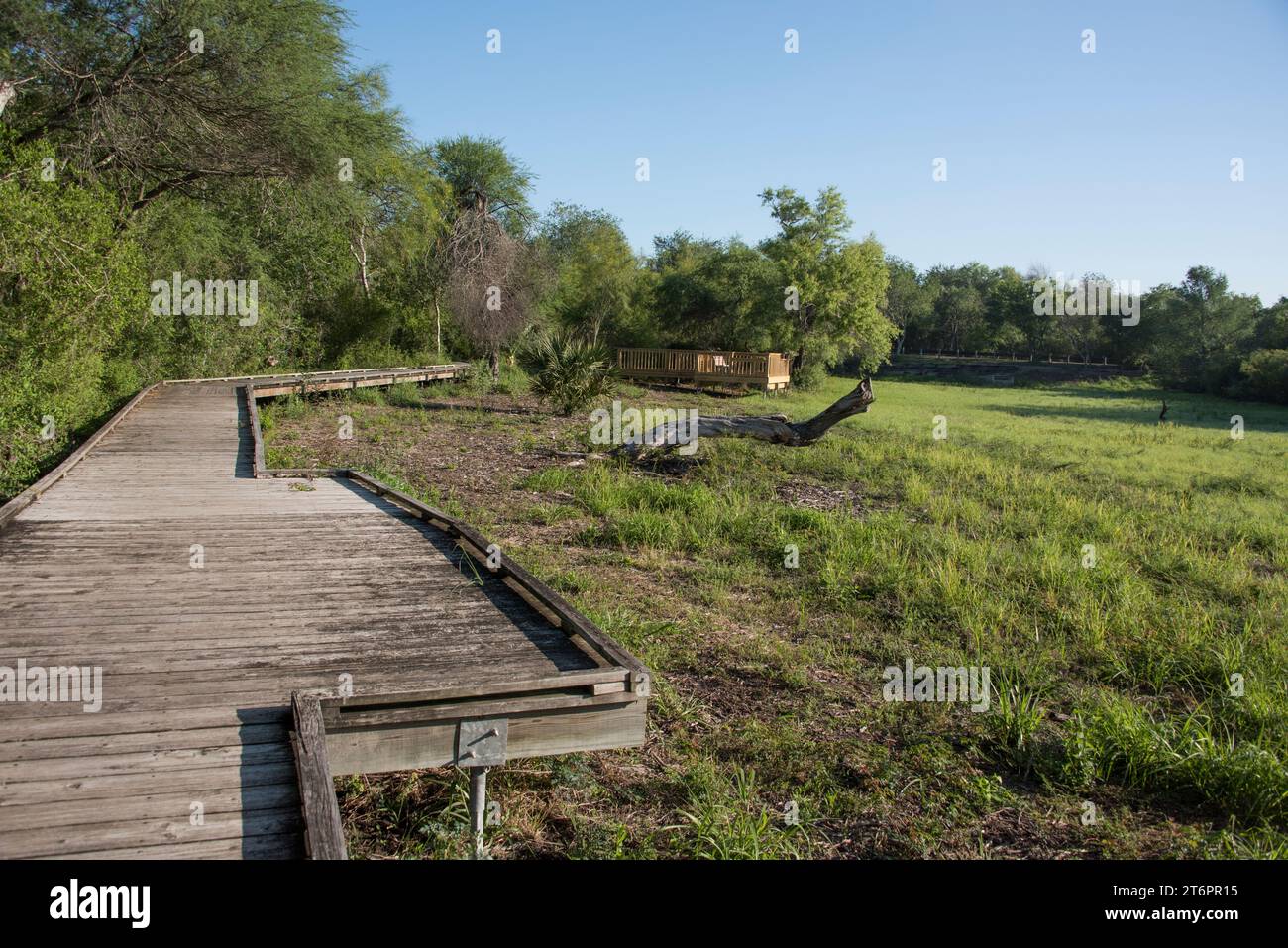 Sentier de randonnée nature au parc d'état Resaca de las palmas, weslaco, texas, états-unis Banque D'Images