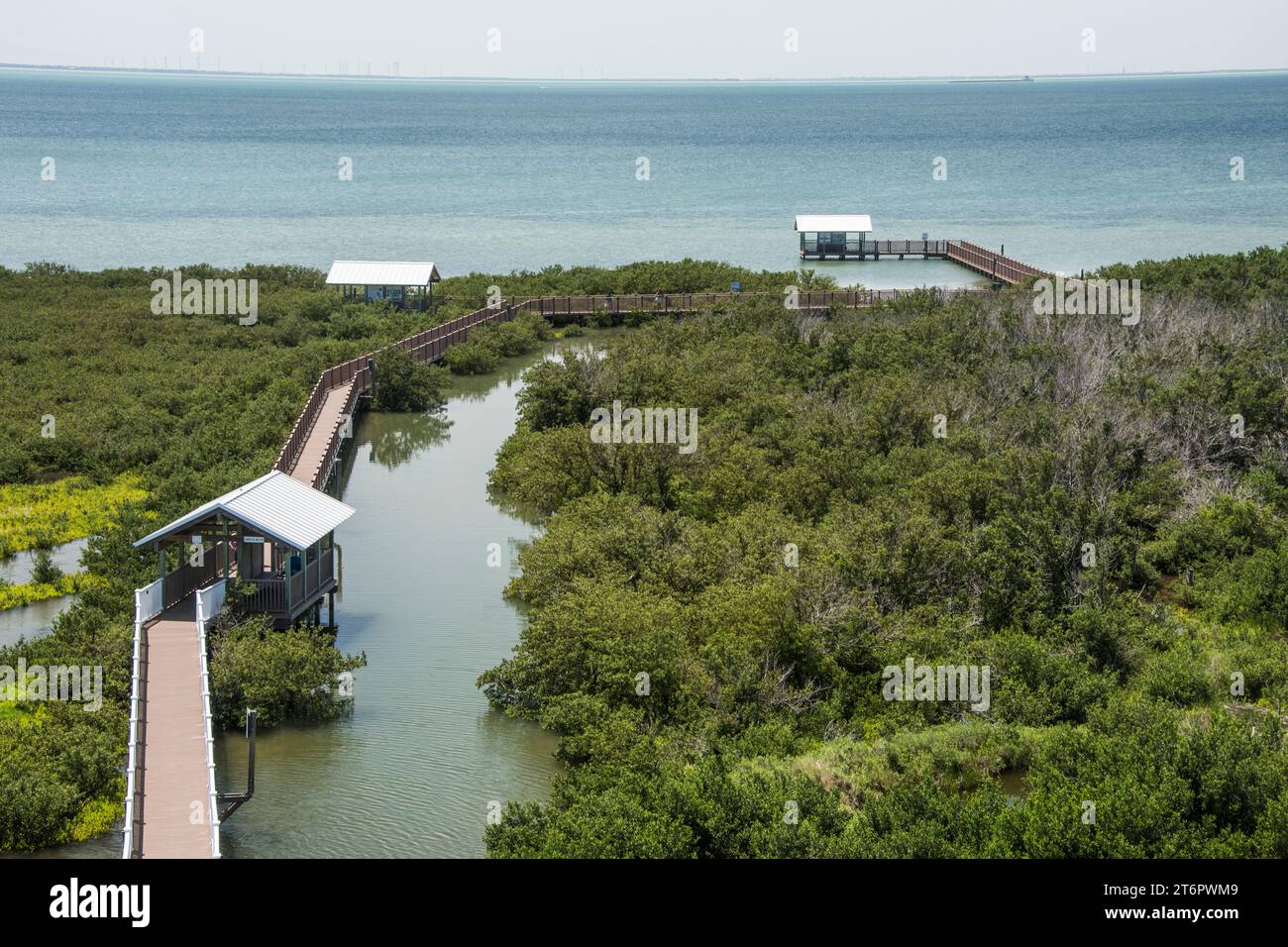 Habitat et sentier naturel de promenade au Birding Center sur South Padre Island, Texas, États-Unis Banque D'Images