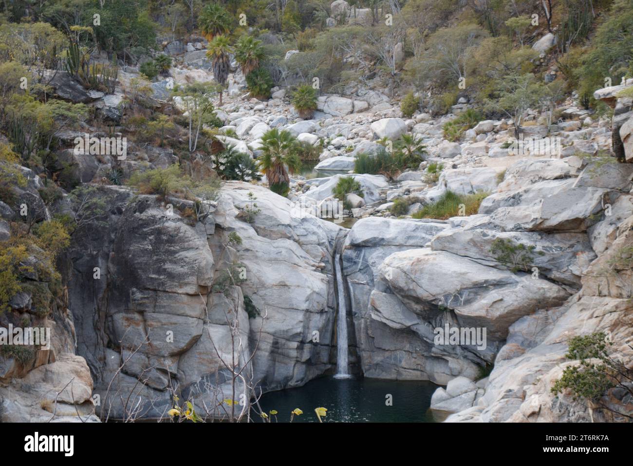 Une chute d'eau de 60 mètres à Cañon de la Zorra (Fox Canyon) près de Cabo San Lucas, au Mexique Banque D'Images