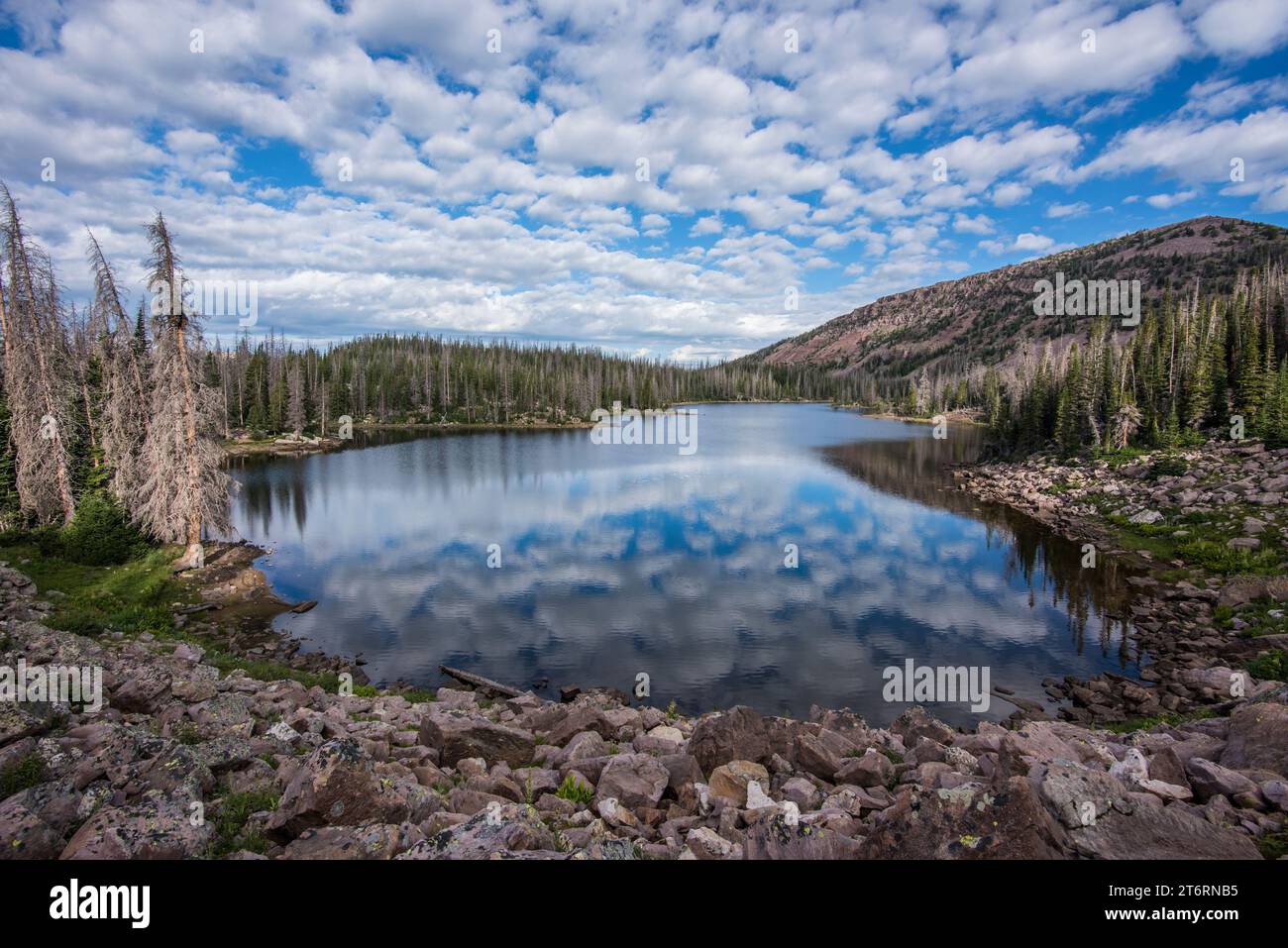 Paysage pittoresque de la région du lac cuberant, Mirror Lake Highway, Uinta Mountains, Camas, Utah, ÉTATS-UNIS Banque D'Images