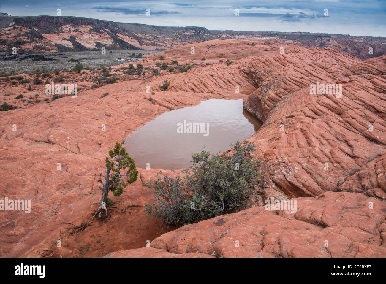 Paysage pittoresque au parc d'état de Snow canyon, une oasis d'eau dans le grès navajo, survie pour les voyageurs perdus et la faune, St george, utah, états-unis Banque D'Images