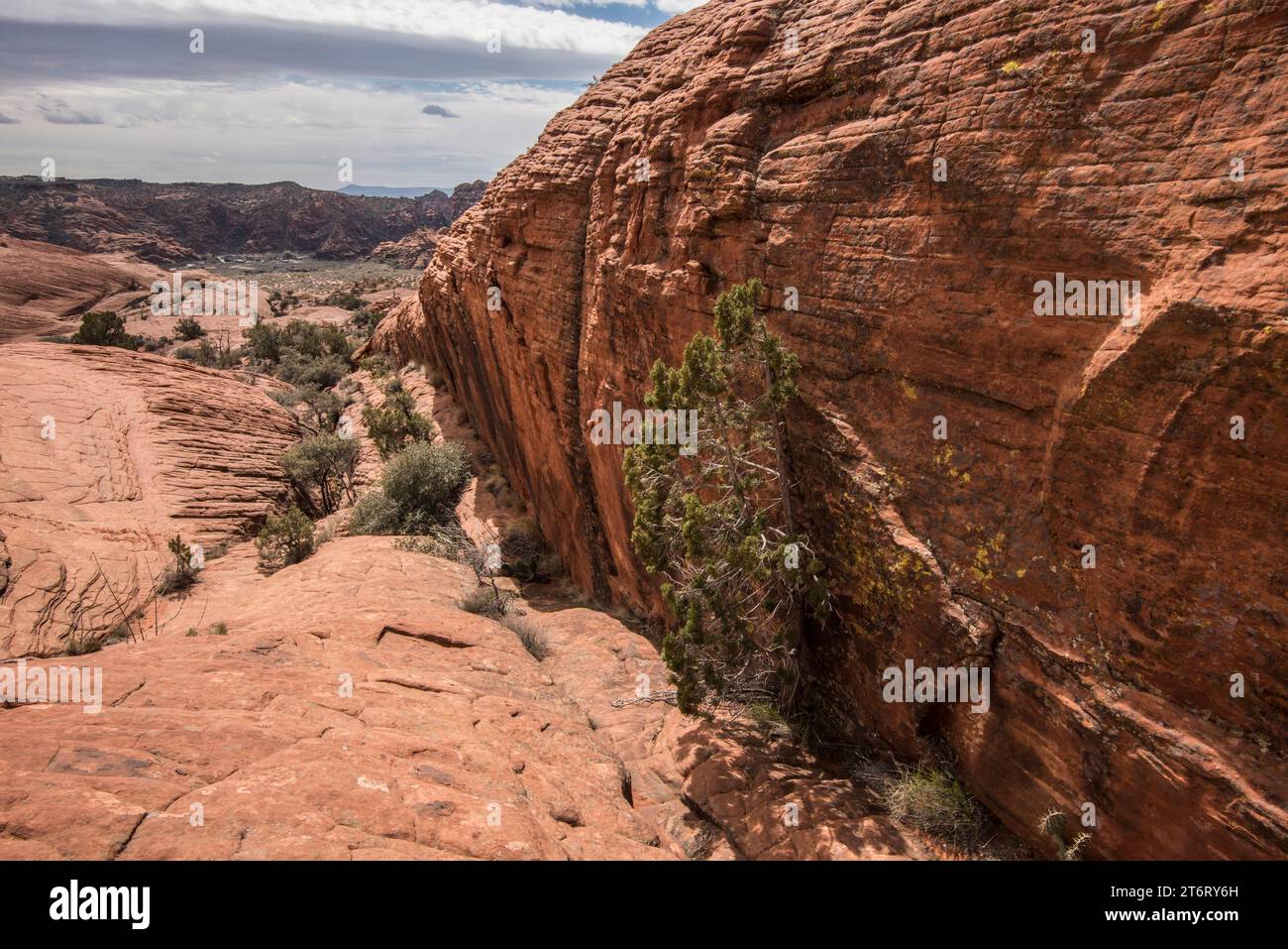 Paysage pittoresque le long d'un mur de grès navajo dans le parc d'état de canyon de neige sur le bord du désert de mojave dans la réserve désertique de falaises rouges, St george Banque D'Images