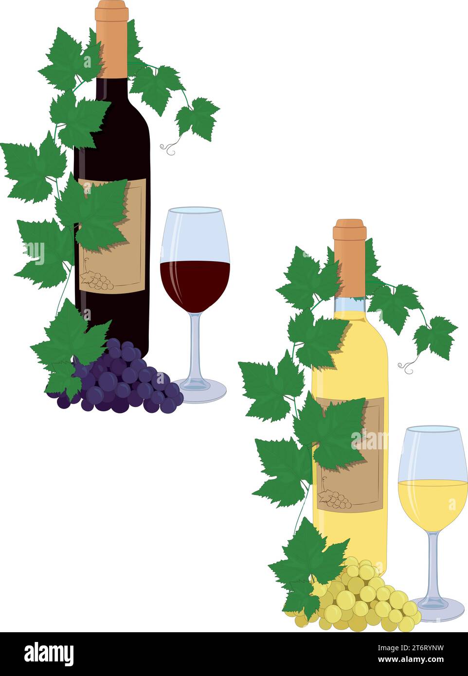 Bouteilles de vin rouge et blanc et compositions de verres avec des vignes de raisin et grappe de raisins illustration vectorielle Illustration de Vecteur