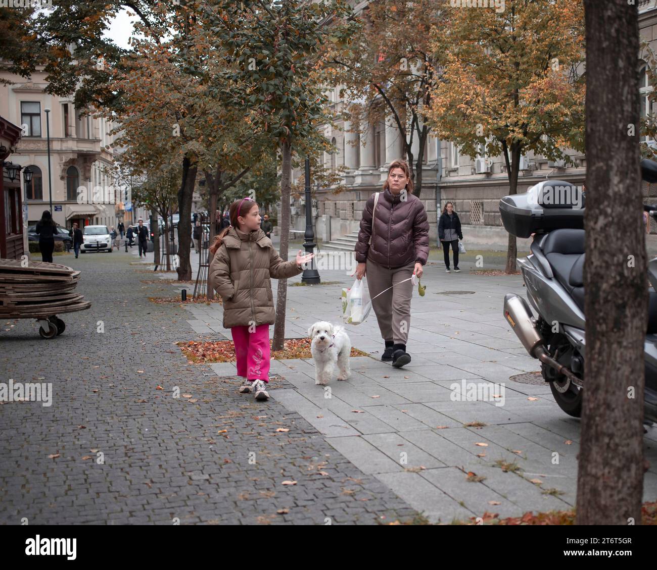 Belgrade, Serbie, 10 novembre 2023 : femme avec une fille qui marche le chien sur la place des maîtres (Magistarski Trg) à Zemun Banque D'Images