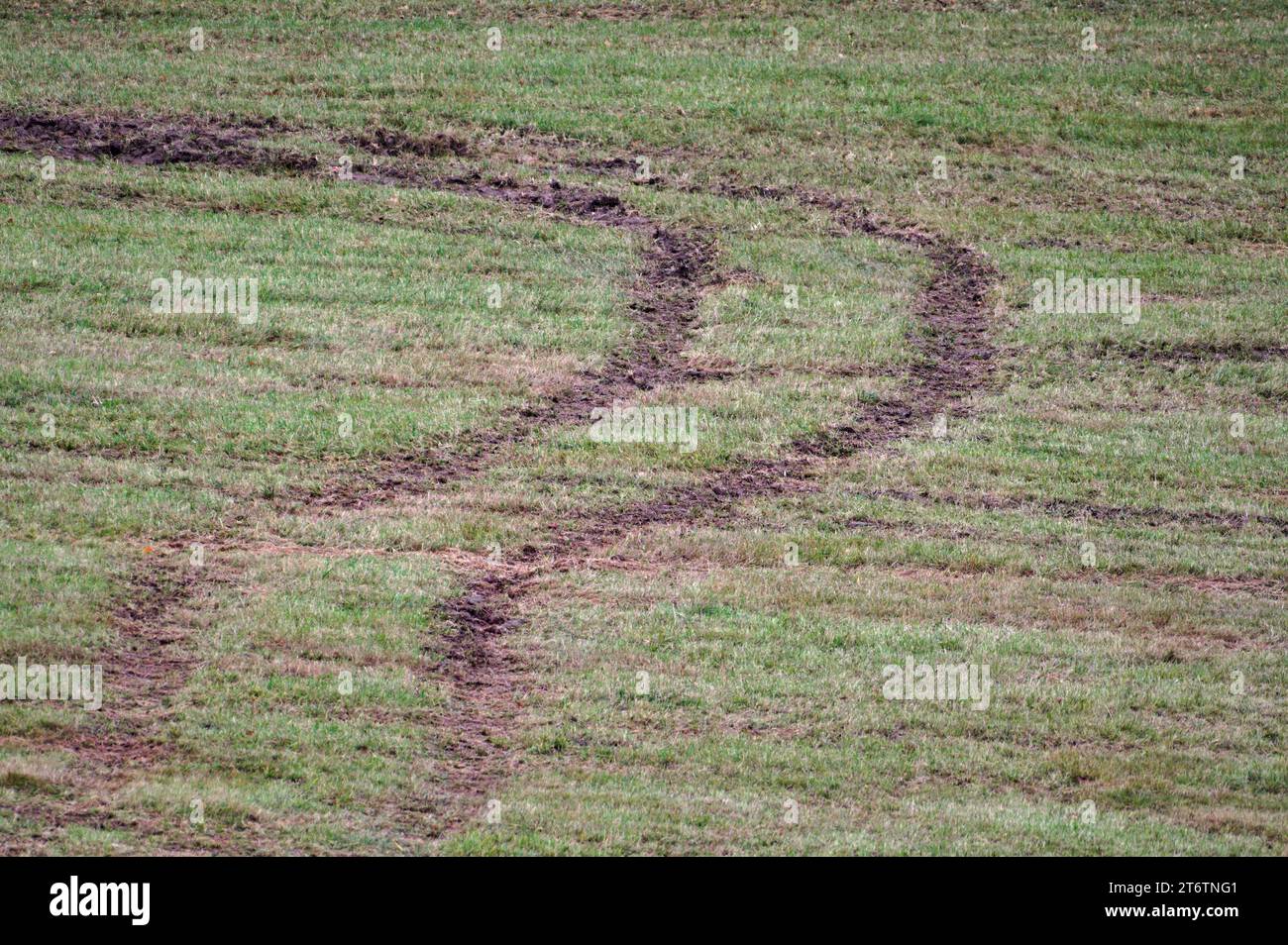 Traces de pneus de voiture ou de tracteur dans la boue sur le terrain. Temps humide automnal. Banque D'Images