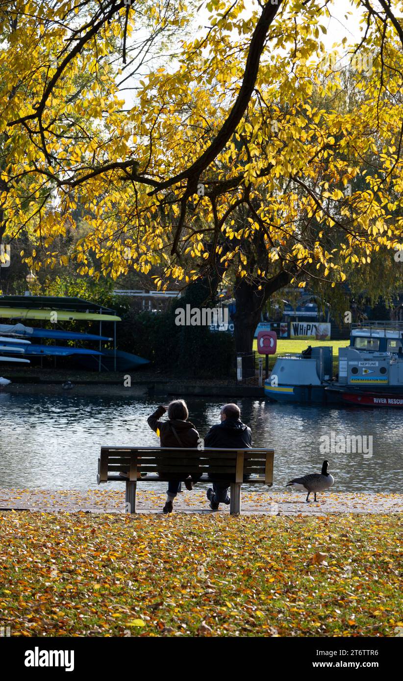 Riverside en automne, Stratford-upon-Avon, Warwickshire, Angleterre, Royaume-Uni Banque D'Images