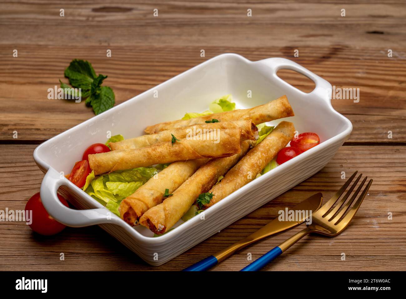 Une assiette appétissante de deux rouleaux de printemps de légumes frais avec des légumes et des herbes colorés, disposés dans un plat blanc Banque D'Images