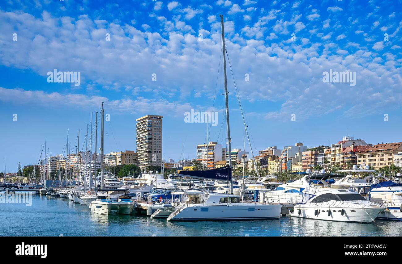 Alicante, Espagne, les yachts privés modernes sont amarrés dans la marina de la ville. L'horizon urbain et le paysage urbain sont en arrière-plan. Banque D'Images