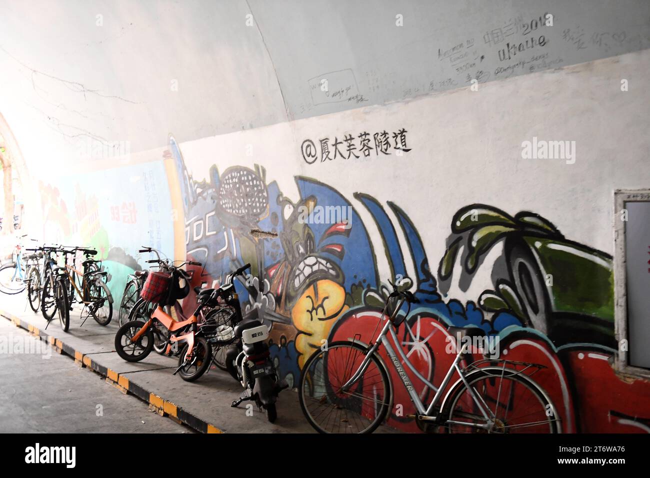 La photo prise le 9 novembre 2023 montre le tunnel de Furong à l'Université de Xiamen à Xiamen, province du Fujian, Chine. Furong tunnel est le plus littéraire et Banque D'Images