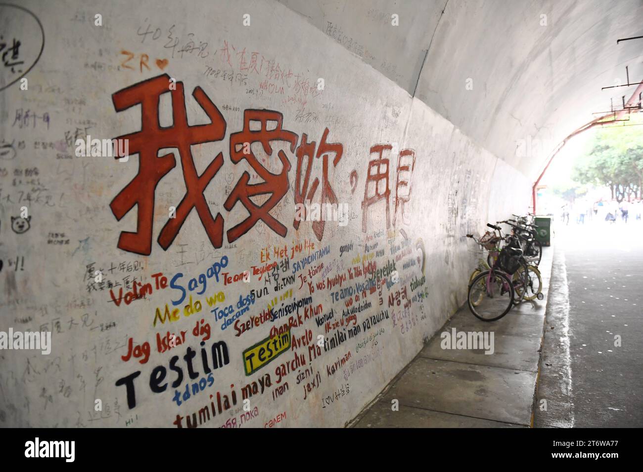 La photo prise le 9 novembre 2023 montre le tunnel de Furong à l'Université de Xiamen à Xiamen, province du Fujian, Chine. Furong tunnel est le plus littéraire et Banque D'Images