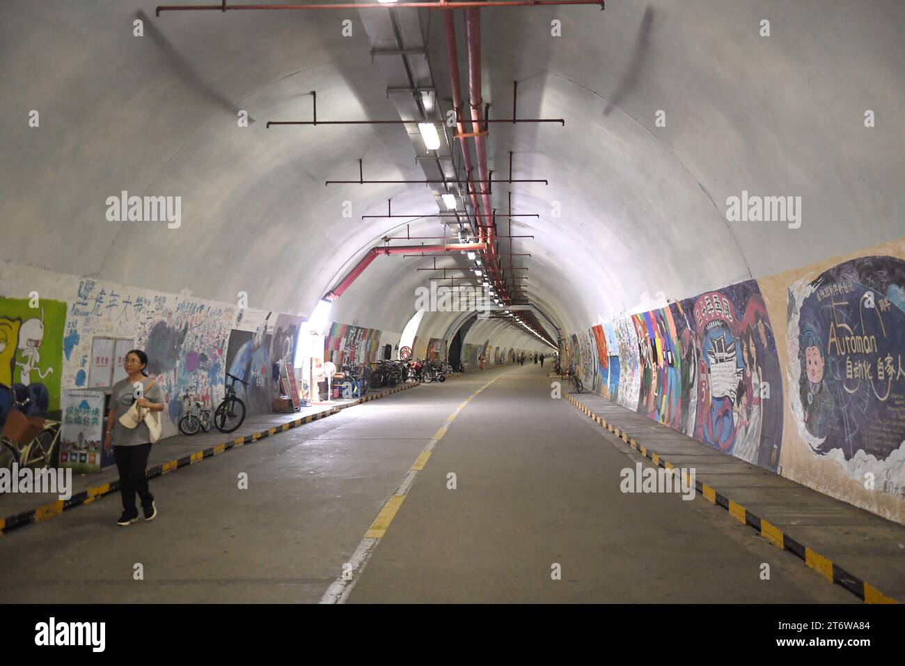 La photo prise le 9 novembre 2023 montre le tunnel de Furong à l'Université de Xiamen à Xiamen, province du Fujian, Chine. Furong tunnel est le plus littéraire et Banque D'Images