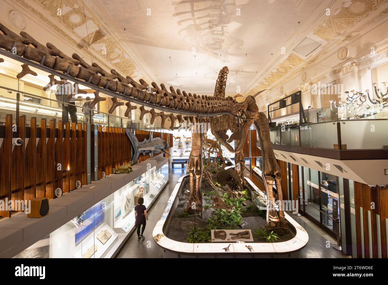 Exposition de dinosaures au Musée national de Taiwan, Ximen, Taipei, Taiwan Banque D'Images