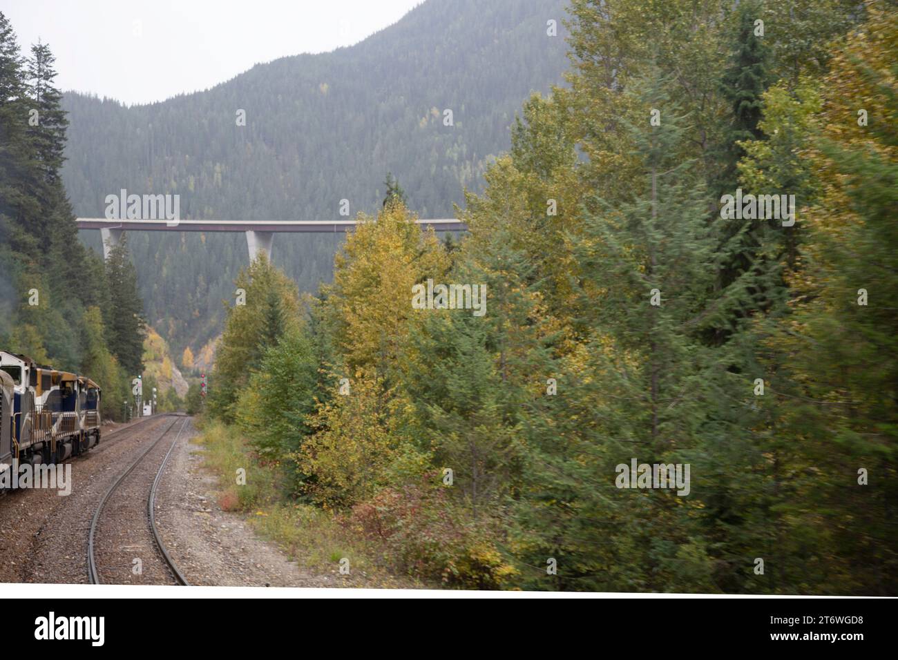 Rocky Mountaineer train sur le point de passer sous un pont routier au-dessus de la rivière Thompson, Alberta, Canada Banque D'Images