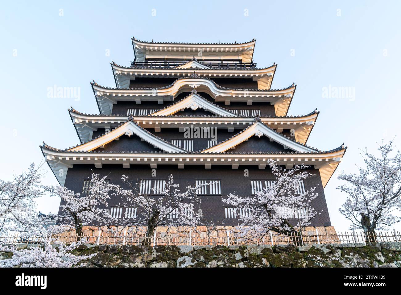 Château de Fukuyama, Japon. Le côté nord de la borogata garde avec son revêtement en plaque de fer noir sur une journée de printemps avec des fleurs de cerisier et un ciel bleu. Banque D'Images