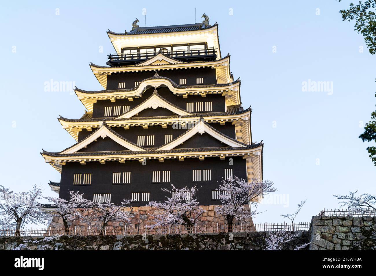 Château de Fukuyama, Japon. Le côté nord du donjon éclairé avec revêtement en plaque de fer noir sur une soirée de printemps avec la fleur de cerisier et le ciel bleu Banque D'Images