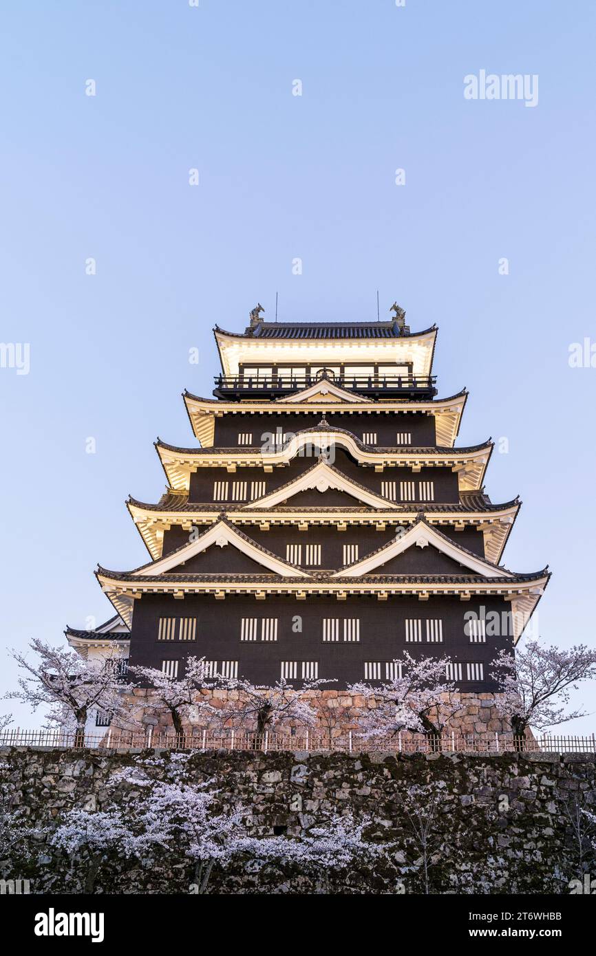 Château de Fukuyama, Japon. Le côté nord du donjon éclairé avec revêtement en plaque de fer noir sur une soirée de printemps avec la fleur de cerisier et le ciel bleu Banque D'Images