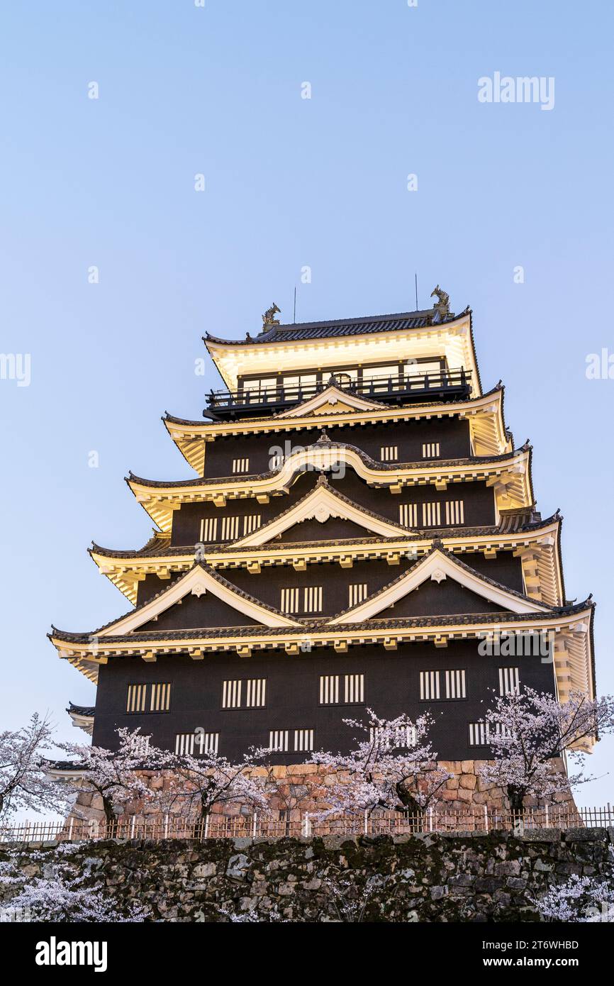 Château de Fukuyama, Japon. Le côté nord du donjon éclairé avec revêtement en plaque de fer noir sur une soirée de printemps avec la fleur de cerisier et le ciel bleu Banque D'Images