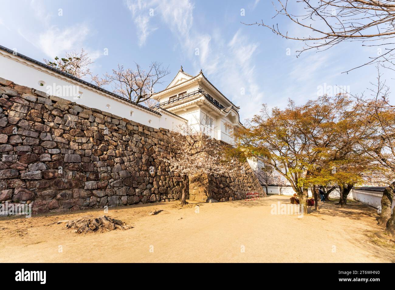 Château japonais, Fukuyama. Mur de pierre Ishigaki avec mur de plâtre dobei et le Tsukimi yagura restauré, tourelle d'observation de la lune. Cerisiers en fleurs, ciel bleu Banque D'Images