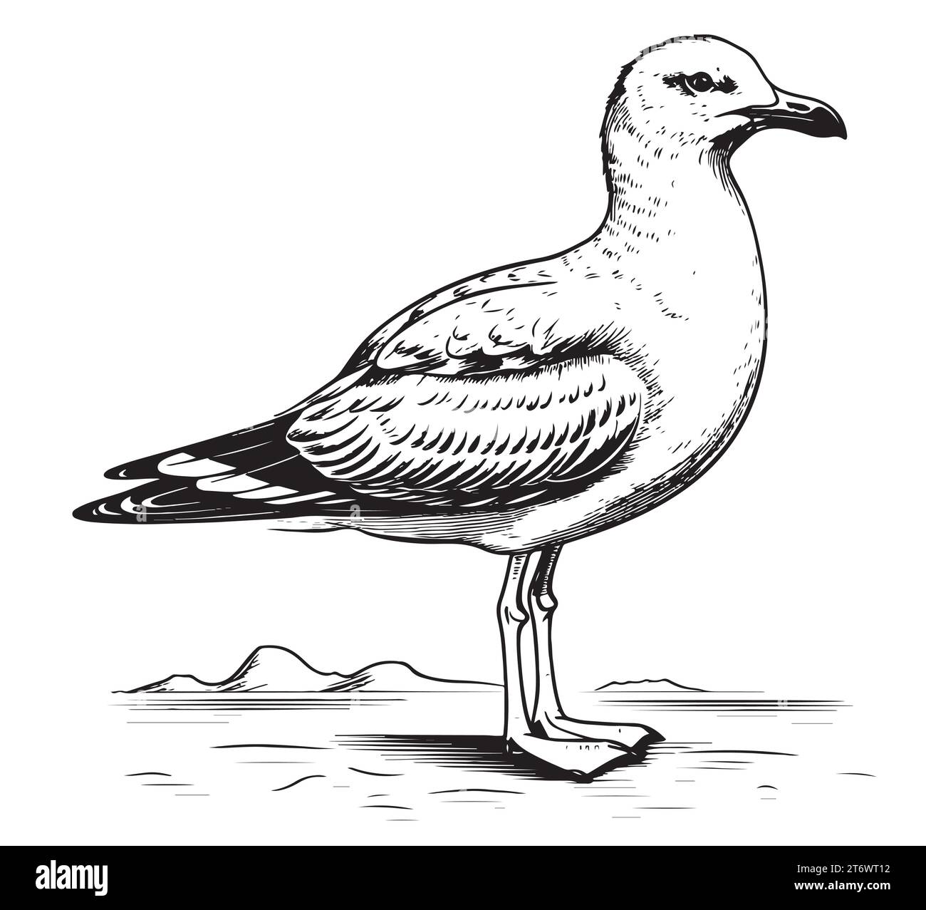 Sea Gull debout croquis dessiné à la main illustration vectorielle oiseaux Illustration de Vecteur
