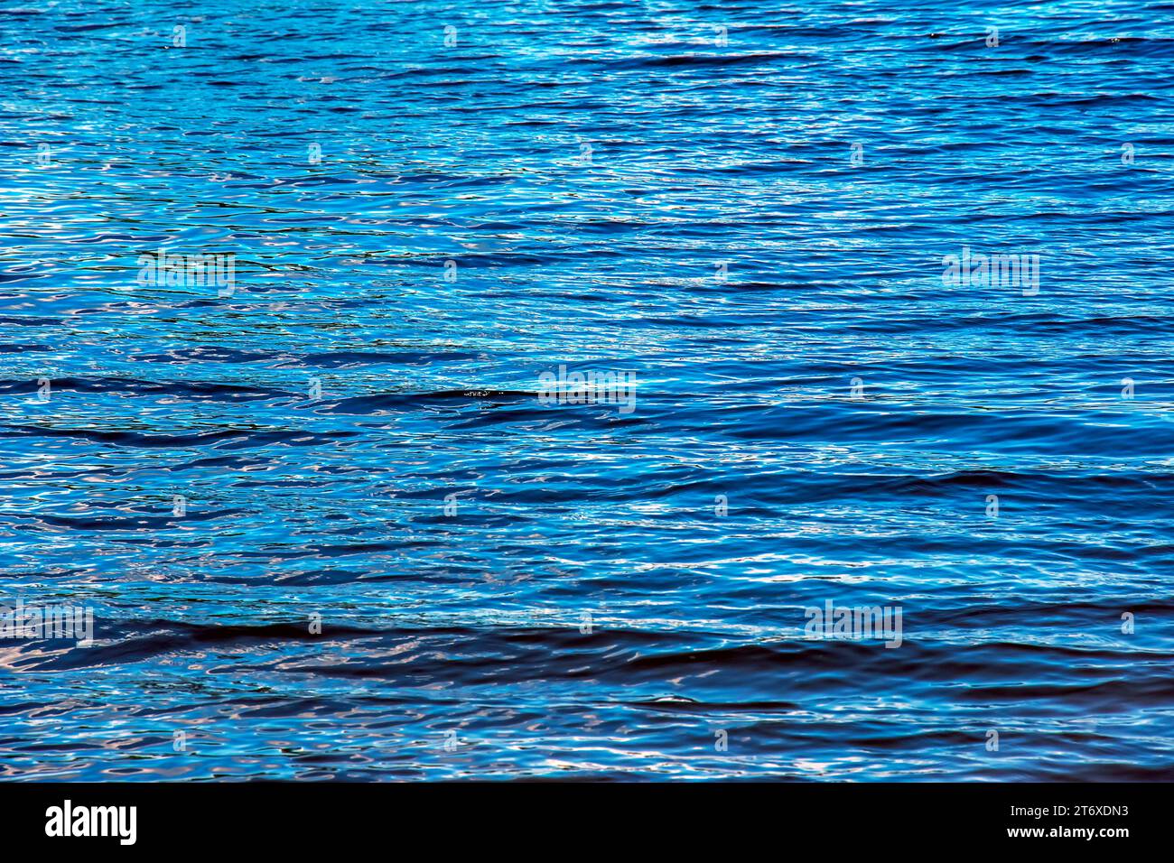 Fond de texture d'ondulation d'eau. Surface d'eau ondulée au coucher du soleil, lumière dorée se reflétant dans l'eau. Banque D'Images