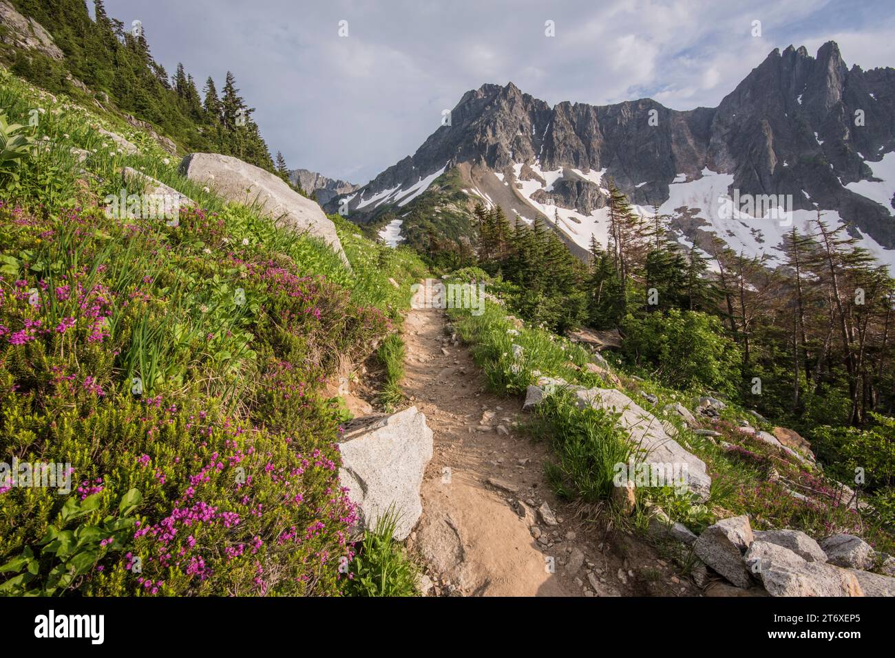 Paysage alpin pittoresque sur le sentier de Cascade Pass, North Cascades National Park, Marblemount, Washington, États-Unis Banque D'Images