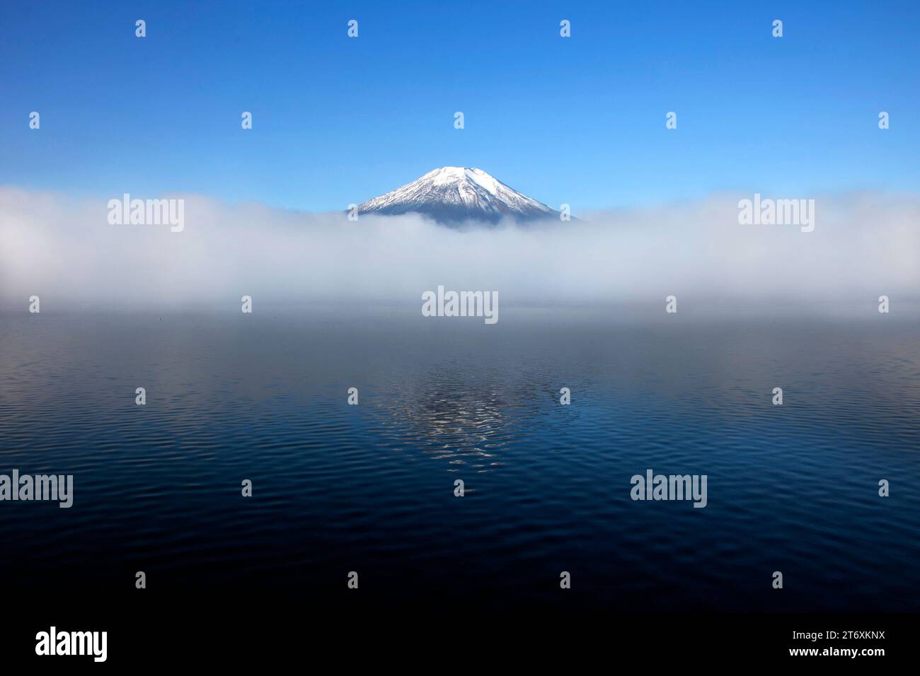 Vues du mont Fuji couvert de neige depuis le lac Yamanaka à Yamanakako, Japon. Banque D'Images