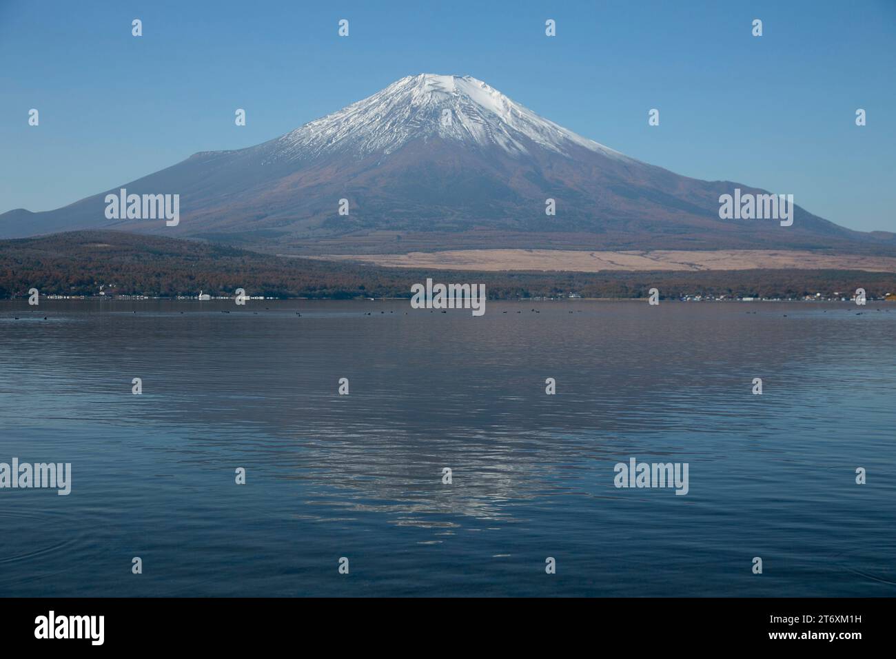 Vues du mont Fuji couvert de neige depuis le lac Yamanaka à Yamanakako, Japon. Banque D'Images