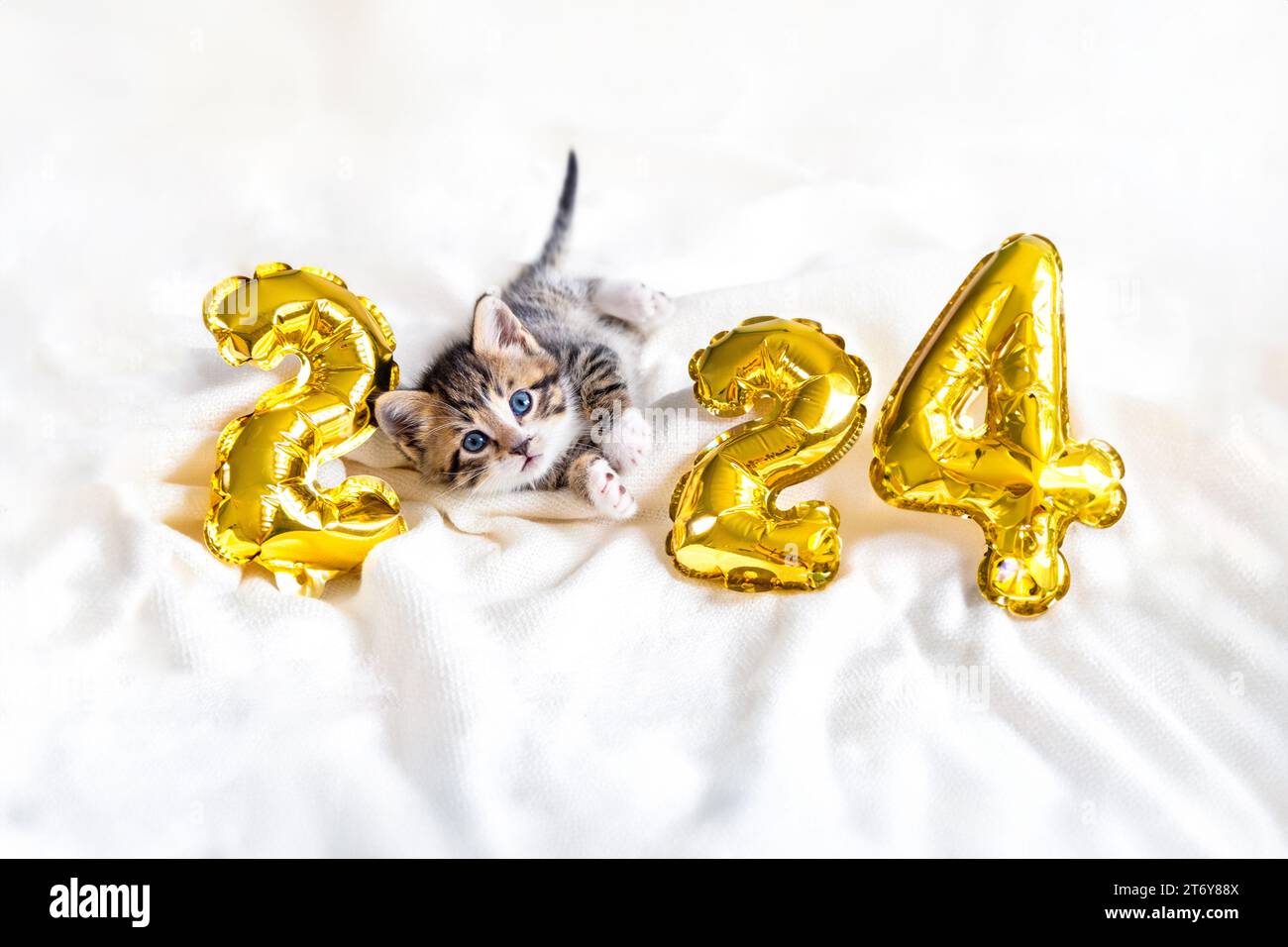 Carte de Noël chat 2024, Kitty avec ballons en feuille d'or numéro 2024