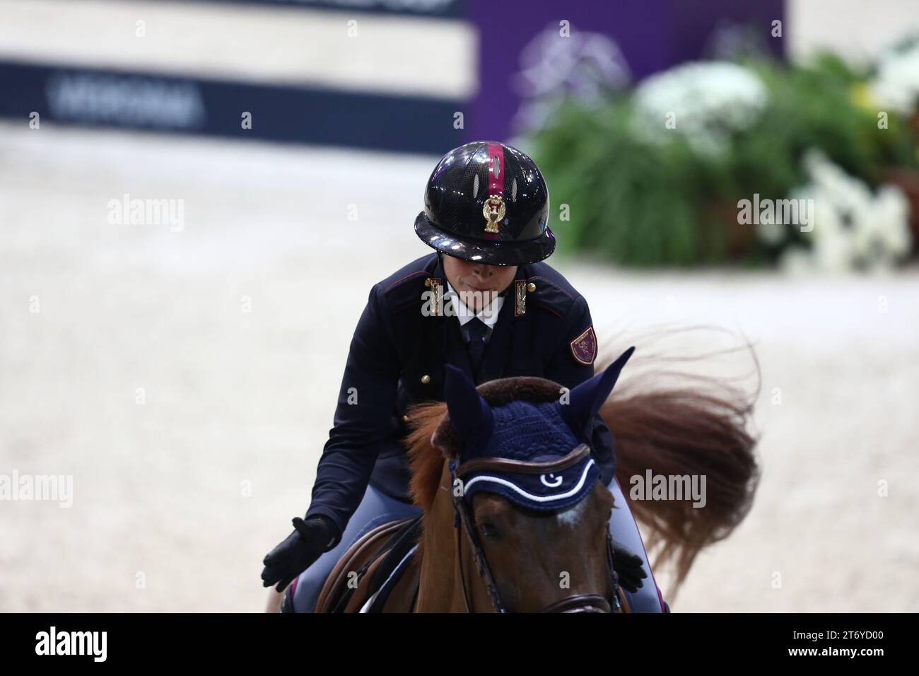 Vérone, Italie. 12 novembre 2023. LONGINES FEI Jumping World Cup™ Verona crédit : Mickael Chavet/Alamy Live News Banque D'Images