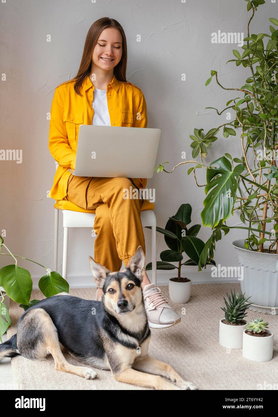 Jeune femme travaillant sa maison jardin son chien Banque D'Images