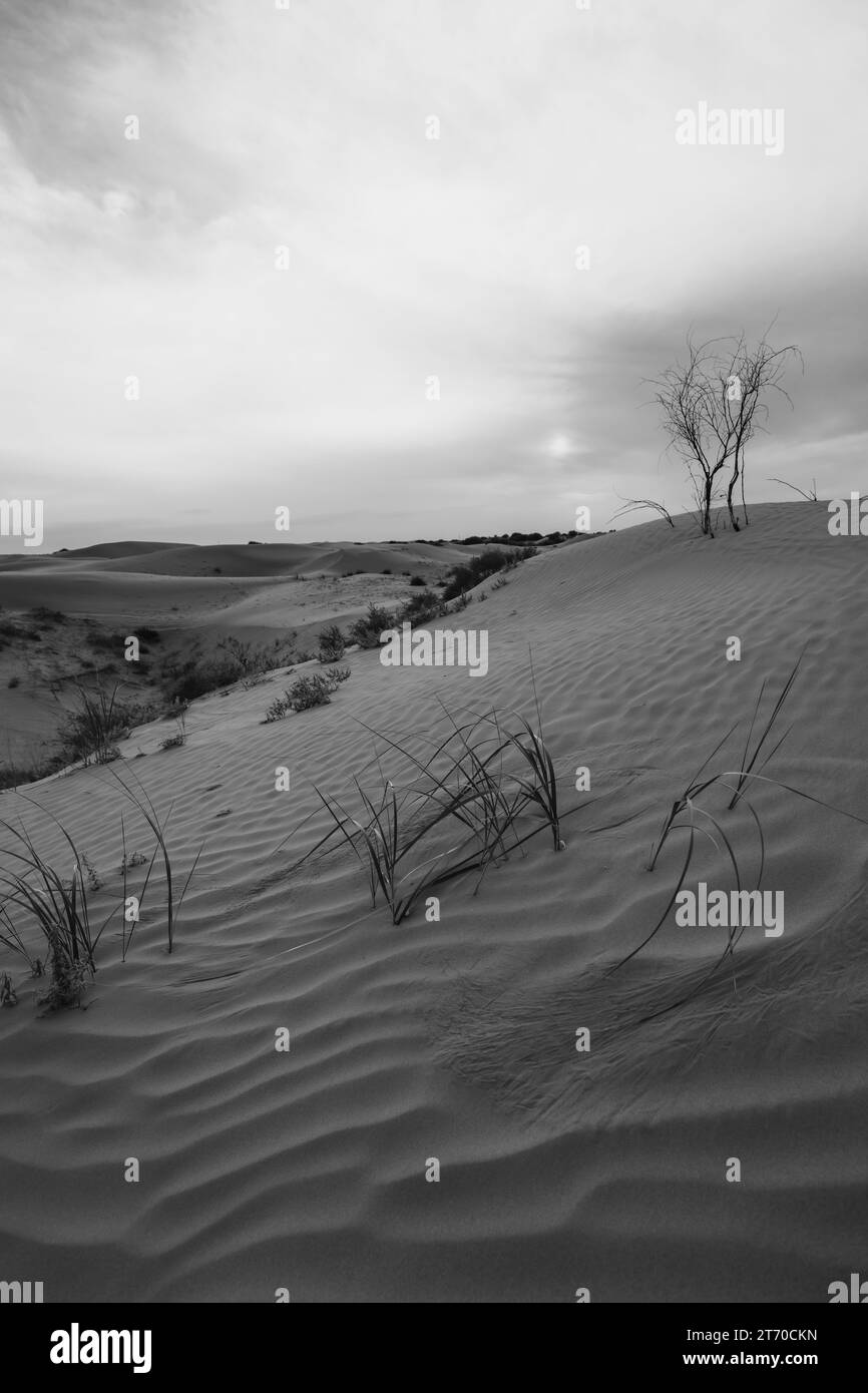 Coucher de soleil vue sur les dunes de sable à XiangshaWan, ou chantant la baie de sable, dans le désert de hobq ou kubuqi, Mongolie intérieure, Chine, noir et blanc Banque D'Images