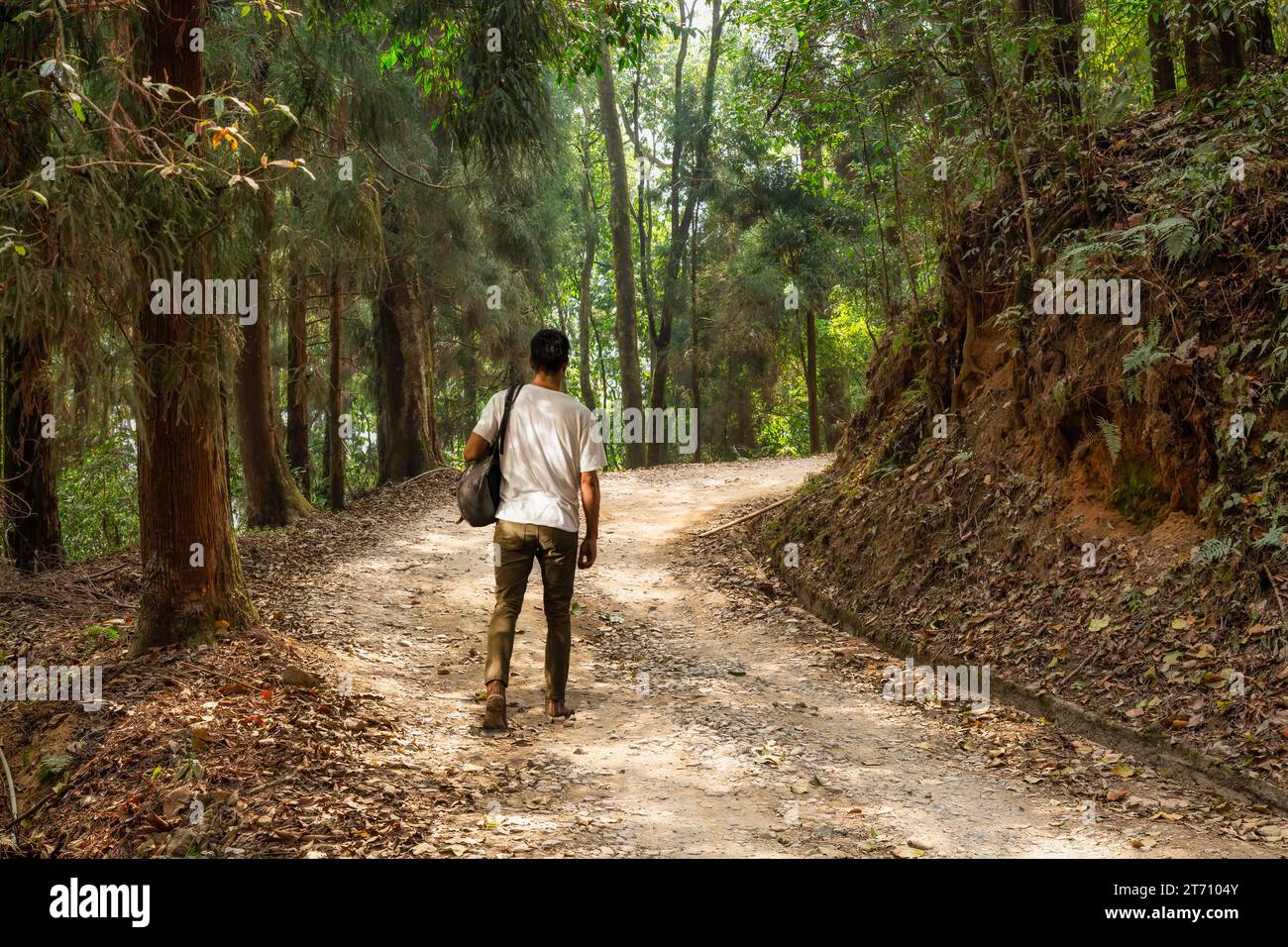 Touriste masculin profiter d'une promenade à travers une route forestière non pavée à Lava Kalimpong, en Inde Banque D'Images