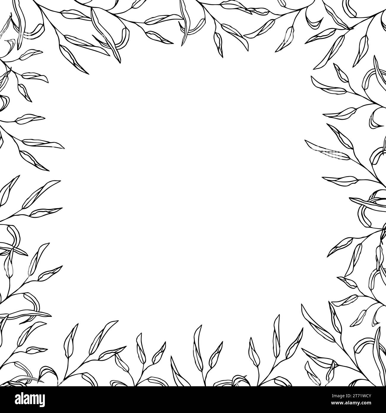 Cadre de bannière carrée d'eucalyptus floral, feuilles d'eucalyptus dessinées à la main, illustration de couronne vectorielle pour carte ou invitation de mariage. Isolé activé Illustration de Vecteur