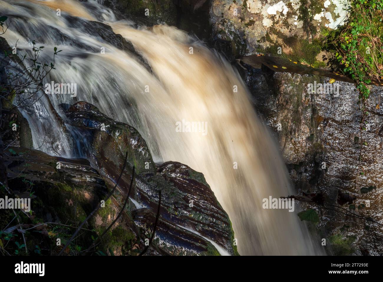 Eau précipitée sur les sentiers de cascade d'Ingleton sur la rivière Twiss à Ingleton dans le North Yorkshire. Banque D'Images