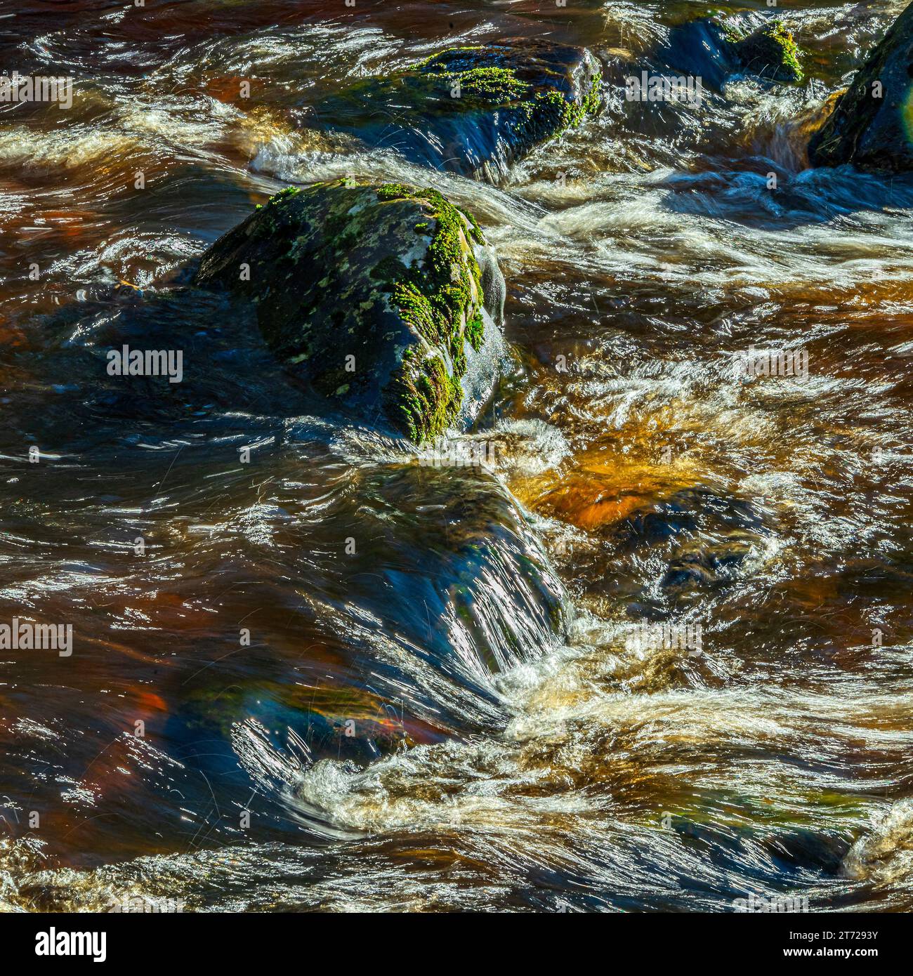 Eau précipitée sur les sentiers de cascade d'Ingleton sur la rivière Twiss à Ingleton dans le North Yorkshire. Banque D'Images