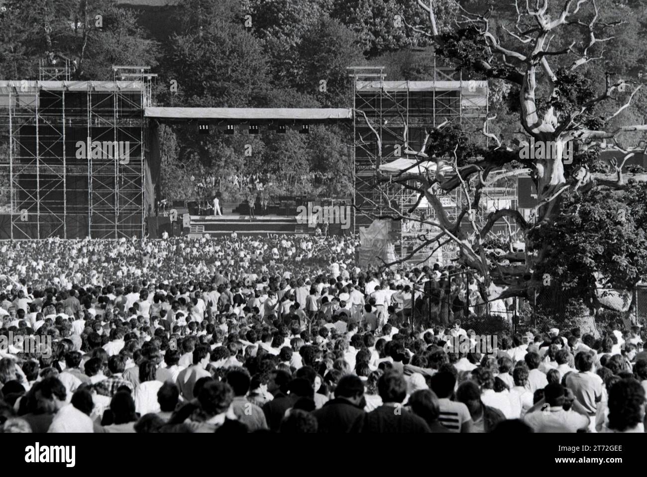 Bruce Springsteen et le E-Streetband se produisant au château de Slane en Irlande. 01-06-1985. vvbvanbree fotografie Banque D'Images