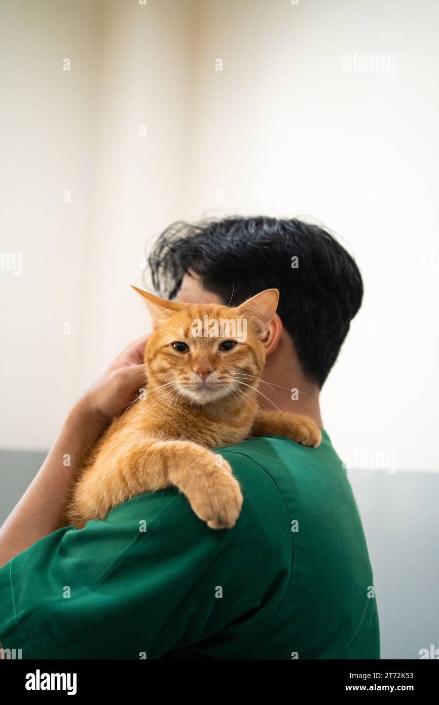 Un chat orange vif, bercé dans les bras d'une infirmière, symbolise la chaleur et le confort. Banque D'Images