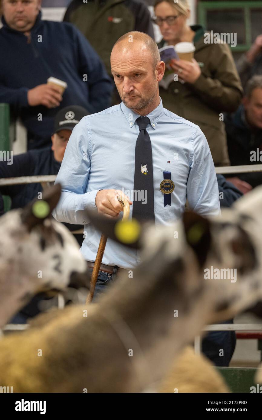 Les agriculteurs vendent des béliers et la vente Blue Faced Leicester au magasin Hawes Auction dans le North Yorkshire, Royaume-Uni. Banque D'Images