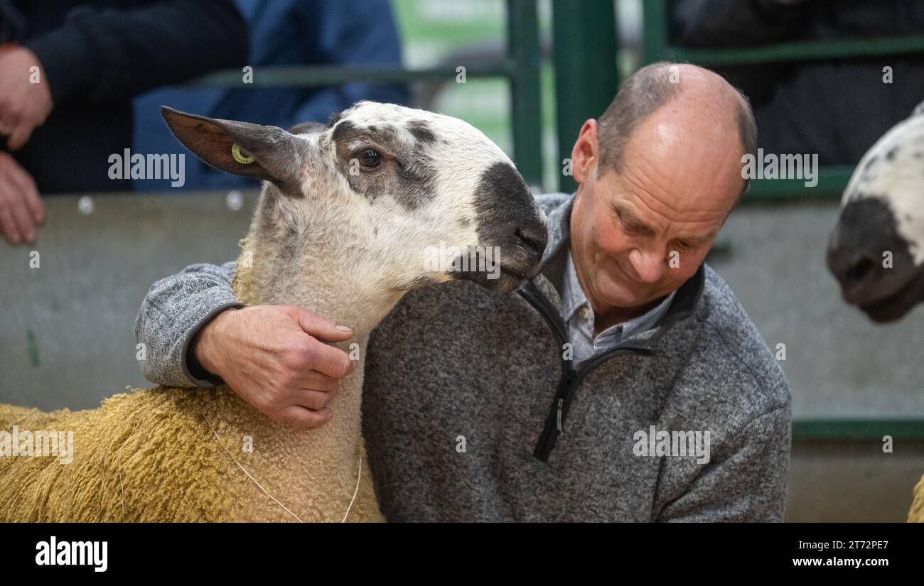 Les agriculteurs vendent des béliers et la vente Blue Faced Leicester au magasin Hawes Auction dans le North Yorkshire, Royaume-Uni. Banque D'Images