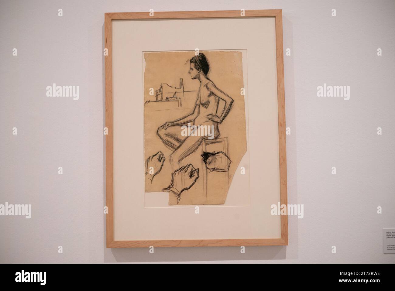 Les œuvres de l'exposition 'Picasso 1906. La grande transformation », au Musée Reina Sofia, le 13 novembre 2023 à Madrid, Espagne. Banque D'Images