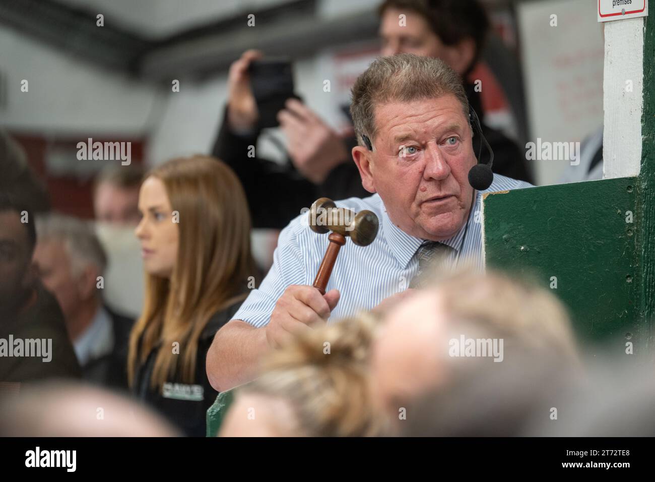 Les agriculteurs vendent des béliers et la vente Blue Faced Leicester au magasin Hawes Auction dans le North Yorkshire, Royaume-Uni. Banque D'Images