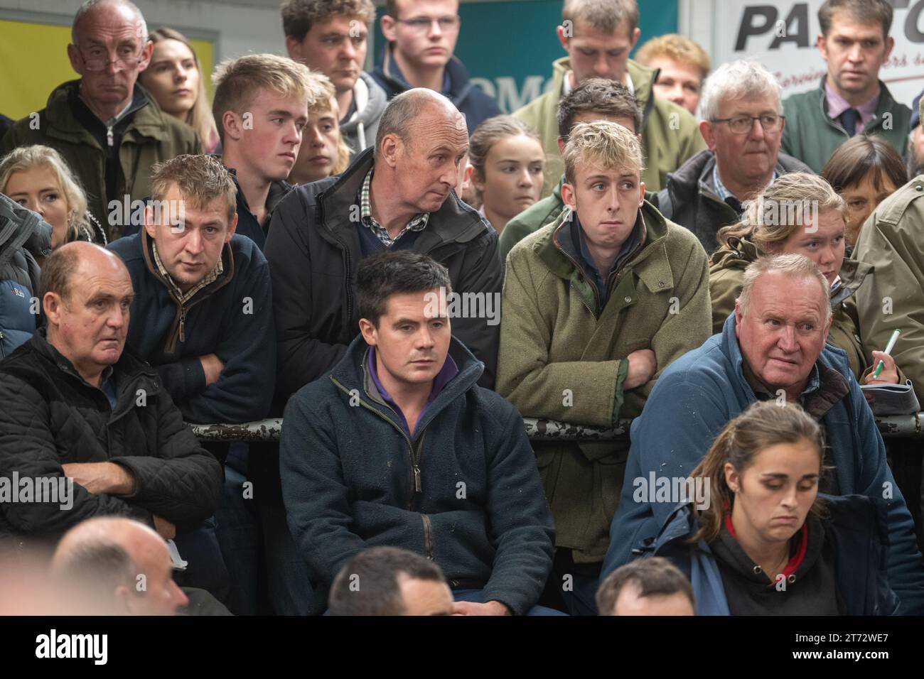Les agriculteurs vendent des béliers et la vente Blue Faced Leicester au magasin Hawes Auction dans le North Yorkshire, Royaume-Uni. Banque D'Images