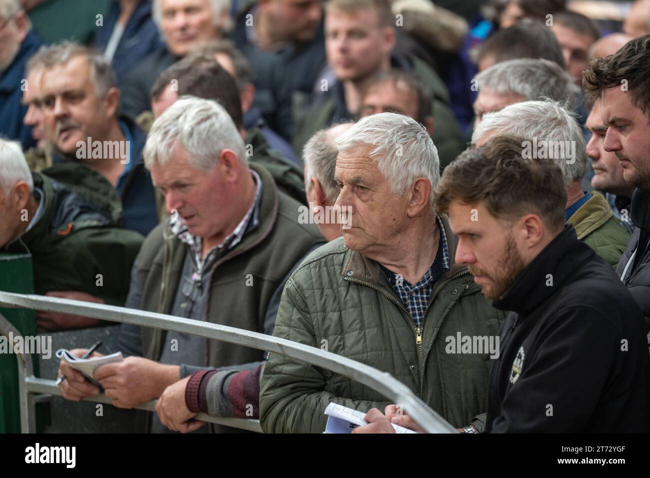 Les agriculteurs vendent des béliers et la vente Blue Faced Leicester au magasin Hawes Auction dans le North Yorkshire, Royaume-Uni. Banque D'Images