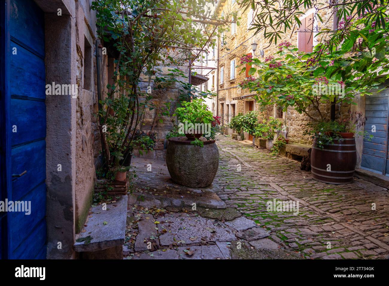 Charmant petit village en Croatie appelé la Toscane istrienne avec des murs en pierre et de belles portes et fenêtres. Banque D'Images