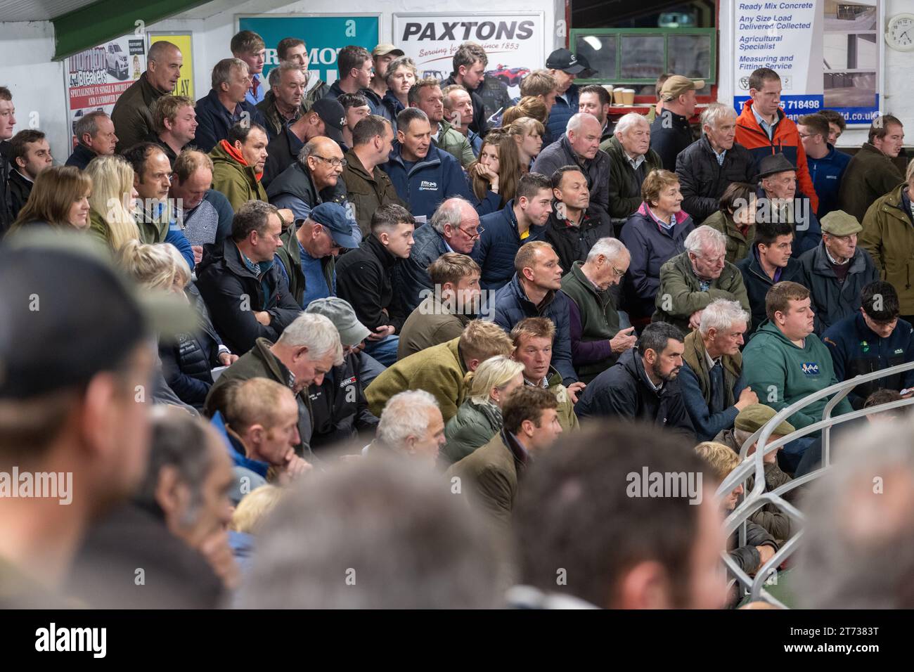 Les agriculteurs vendent des béliers et la vente Blue Faced Leicester au magasin Hawes Auction dans le North Yorkshire, Royaume-Uni. Banque D'Images
