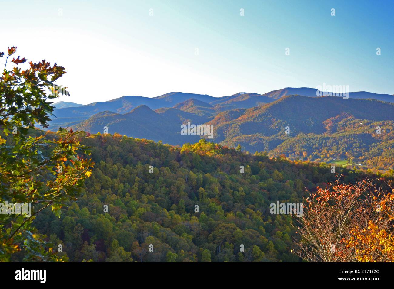 Scène de montagne d'automne Appalaches-02 Banque D'Images