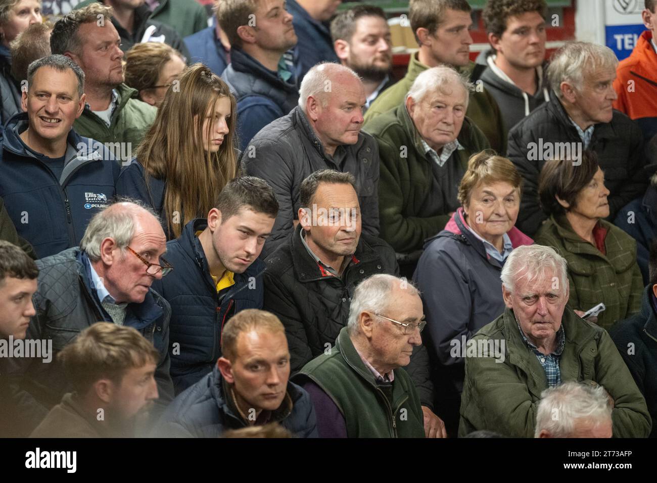 Les agriculteurs vendent des béliers et la vente Blue Faced Leicester au magasin Hawes Auction dans le North Yorkshire, Royaume-Uni. Banque D'Images