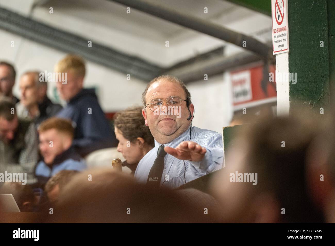 Les agriculteurs vendent des béliers et la vente Blue Faced Leicester au magasin Hawes Auction dans le North Yorkshire, Royaume-Uni. Banque D'Images